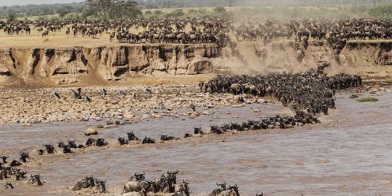 river crossing great migration